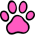 paw